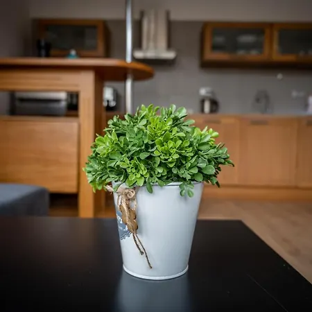 Apartament Nad Jeziorem Dlugim *